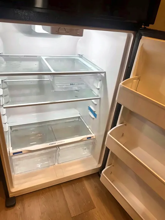 Empty refrigerator with clean shelves and door bins